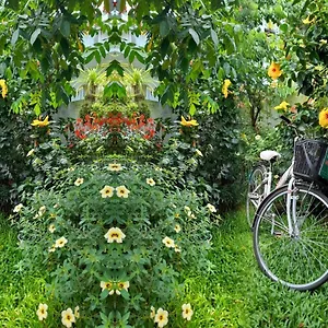Star Garden Hoi An
